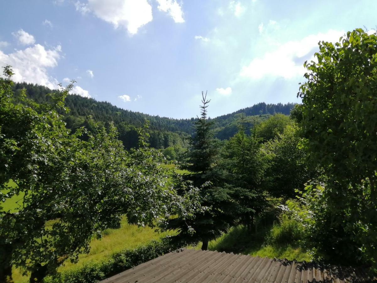 Ferienhaus "Schleif" Heiligkreuzsteinach Bagian luar foto