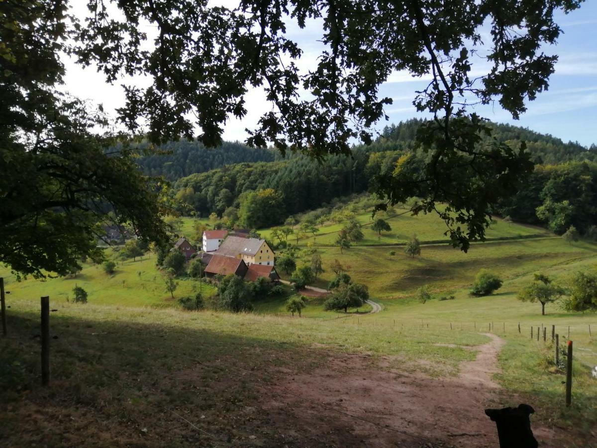 Ferienhaus "Schleif" Heiligkreuzsteinach Bagian luar foto